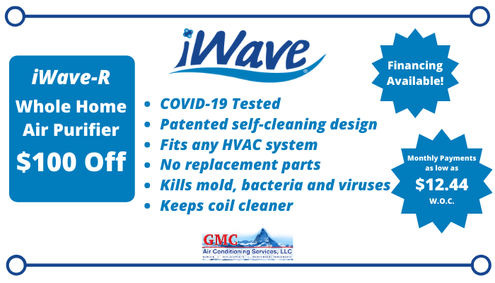 Deal Iwave Whole Home Air Purifier